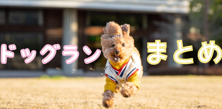 ドッグランへ行こうよ！